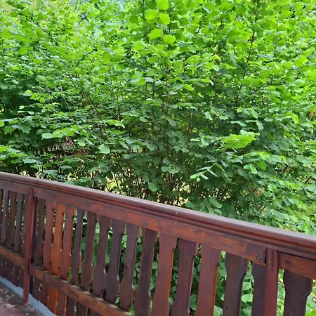 Antos Apartman Szczawnica